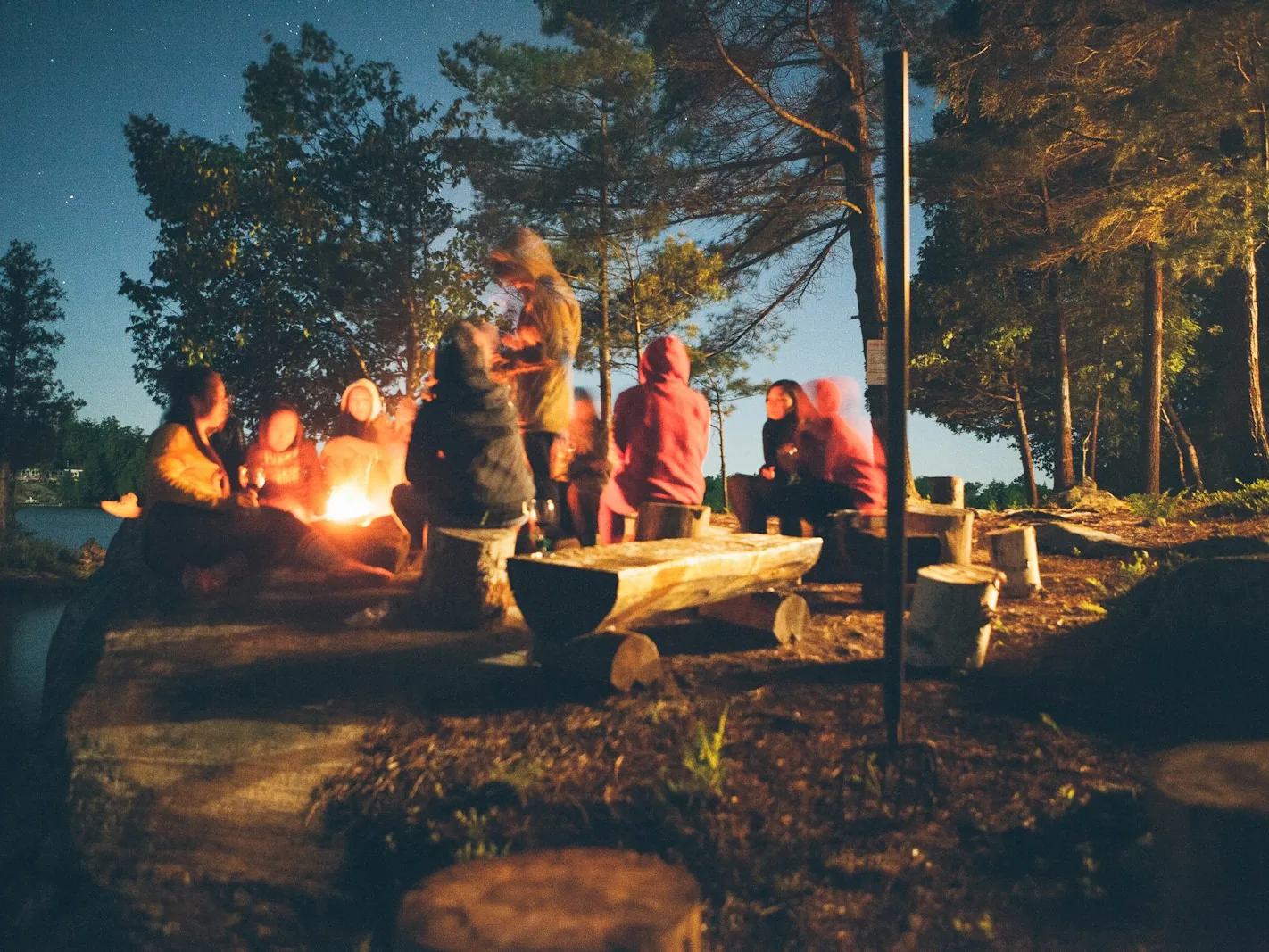 Families gathered around a campfire among tall pines at dusk